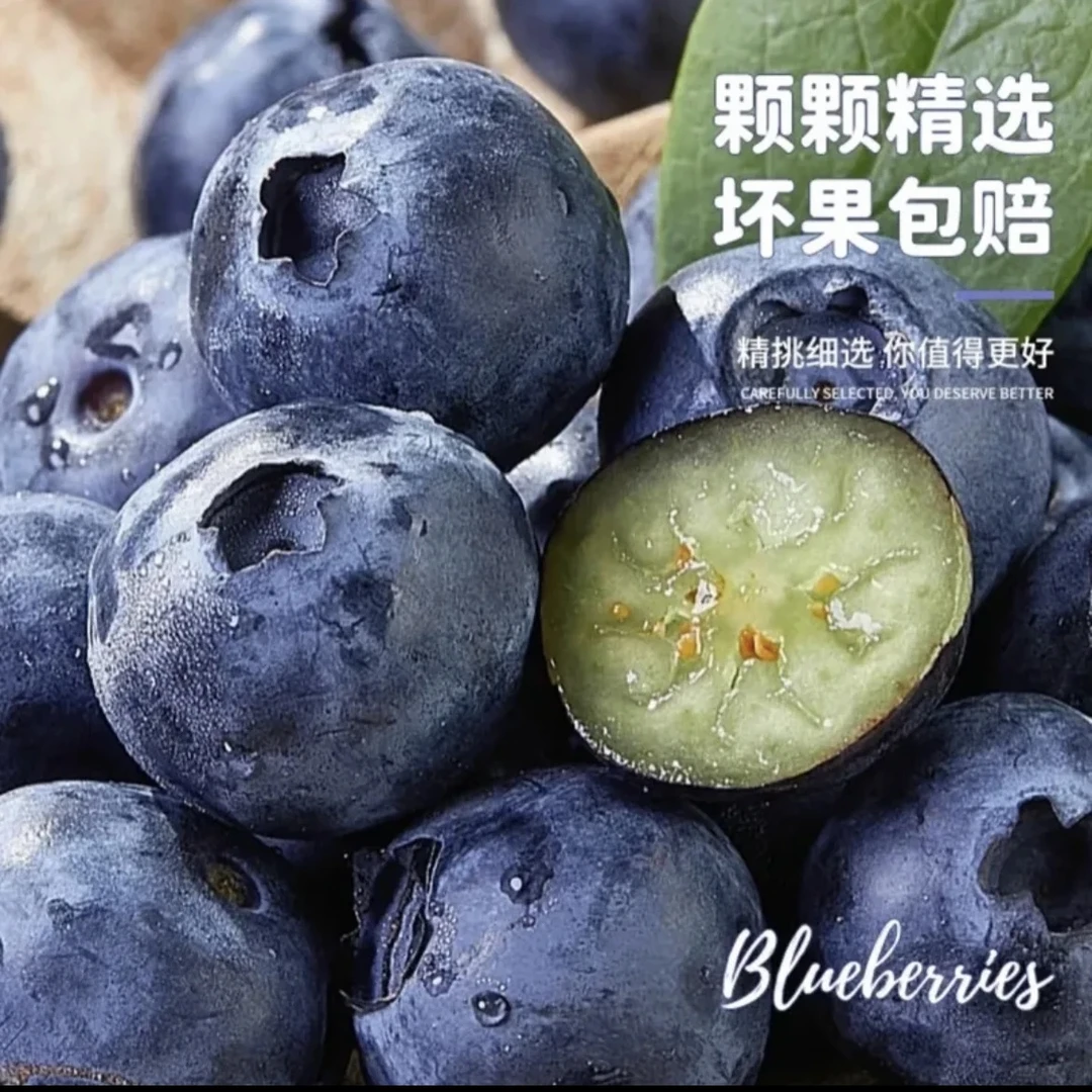 慧【蓝莓特大果】15mm-18mm果径新鲜蓝莓现摘现发  含盒100g/盒