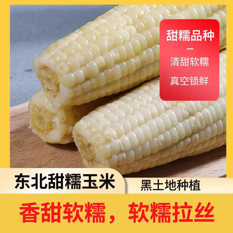 (精品24年糯玉米）白甜糯玉米260克-320克8棒➕2棒试吃整箱发货
