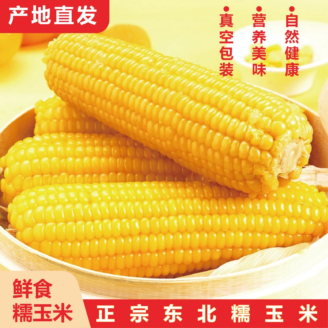 【当年新货】东北糯玉米黄糯玉米甜糯粘玉米棒真空包装营养粗粮
