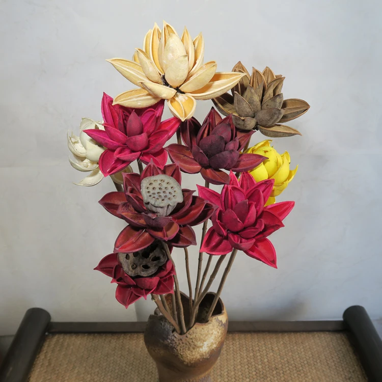 莲蓬荷花天然干花风干果壳假花客厅桌面装饰摆设果壳手工diy材料