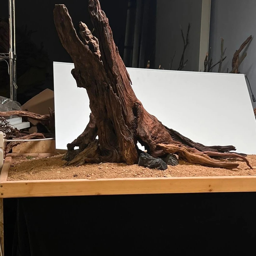 原生南美造景草缸造景