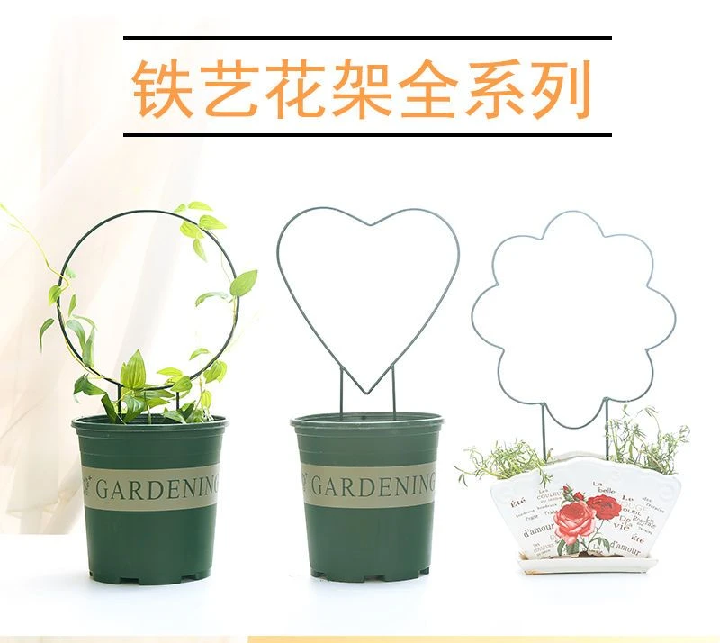 室内爱心形植物攀藤山乌龟甲龙铁线莲花架爬藤小支架子支撑杆铁艺
