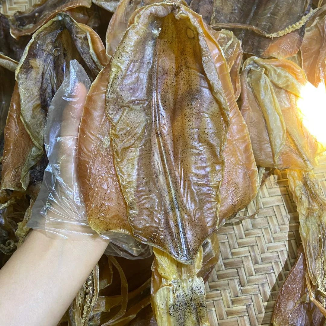 北海野生船晒鱿鱼母鱿鱼婆炖汤红烧温补滋补