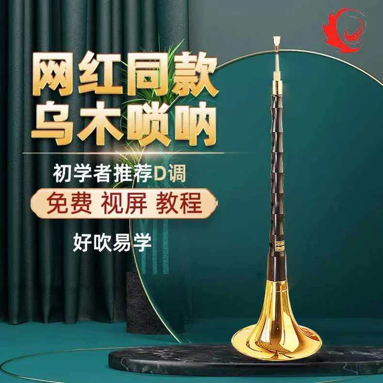 王家彪网红乌木唢呐乐器 全套初学者民族喇叭d调专业唢呐考级演奏