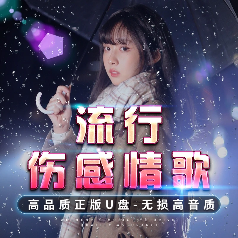 伤感情歌车载2024催泪网络流行情歌合集无损高音质u盘首首精选  