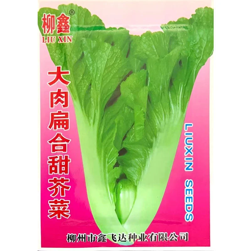 正宗优质大肉扁合甜芥菜抗病甜芥菜种籽四季耐热甜芥菜籽高产耐寒