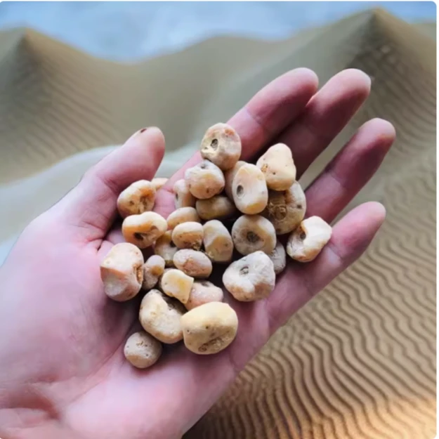 山货玉-黄-丹无硫煮水煲汤100g-500g