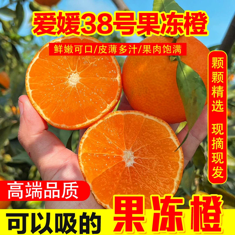 【一生面专属】四川正宗爱媛果冻橙新鲜水果当季水果手剥橙整箱包邮