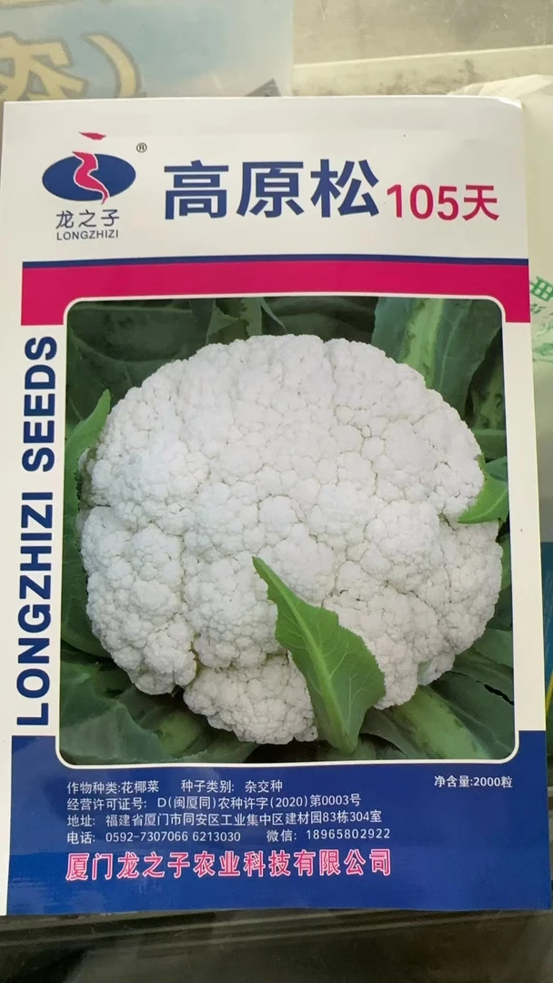 高原松105,优质散花。高产。