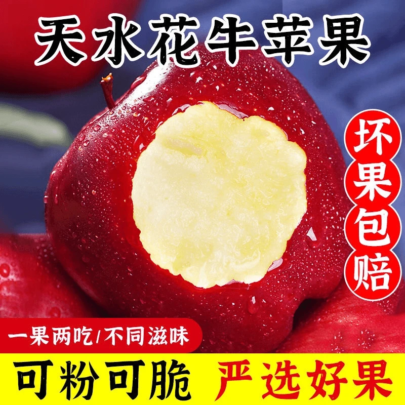 甘肃天水花牛苹果新鲜应季水果5/10斤宝宝辅食包邮粉面可刮泥