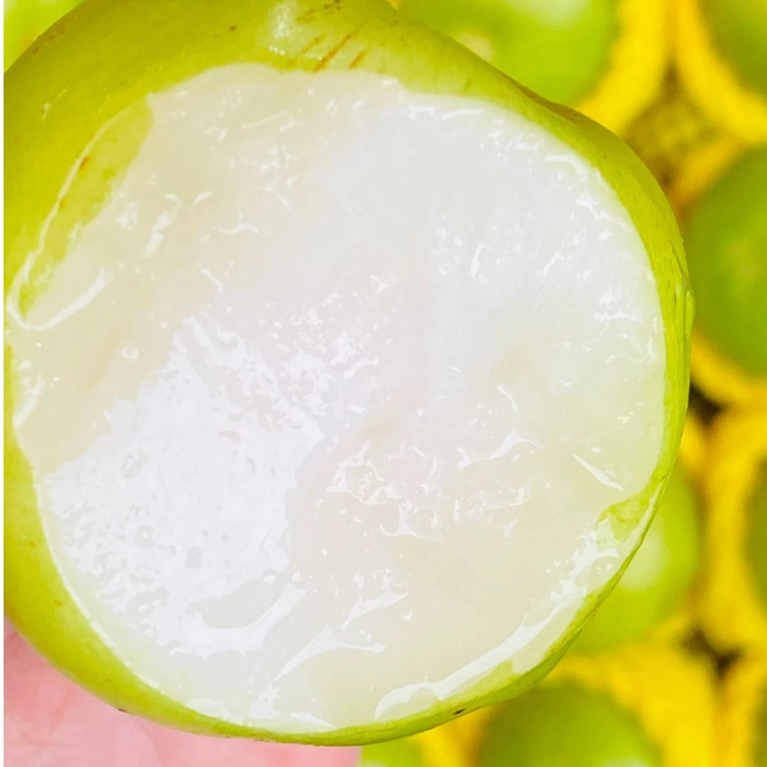 【尝鲜福利】版纳苹果枣3斤花斑高品质爽口甜度非进口便宜普通品种