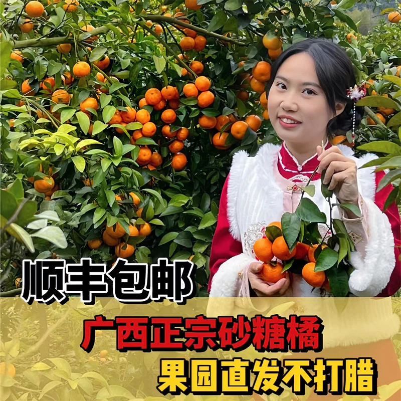 【顺丰包邮】桂林砂糖橘4.5/9斤新鲜采摘发货食用方便品混装标准