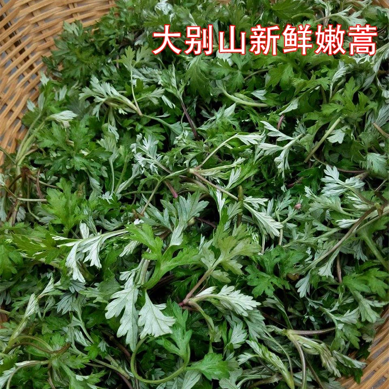2025年安徽蒿子粑粑原料篓蒿现采发货‘非刺头蒿子’