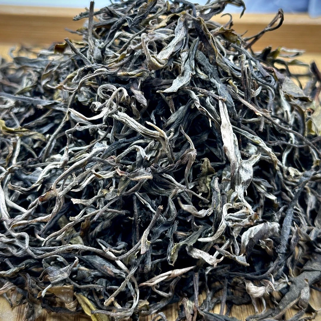 2024年  头春头采