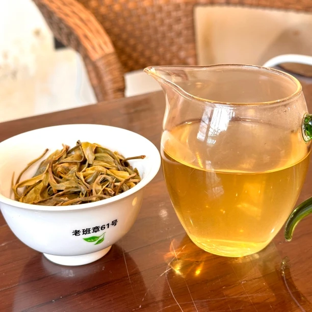 2024年老班章（61号）谷花茶  混采古树（版纳茶区）