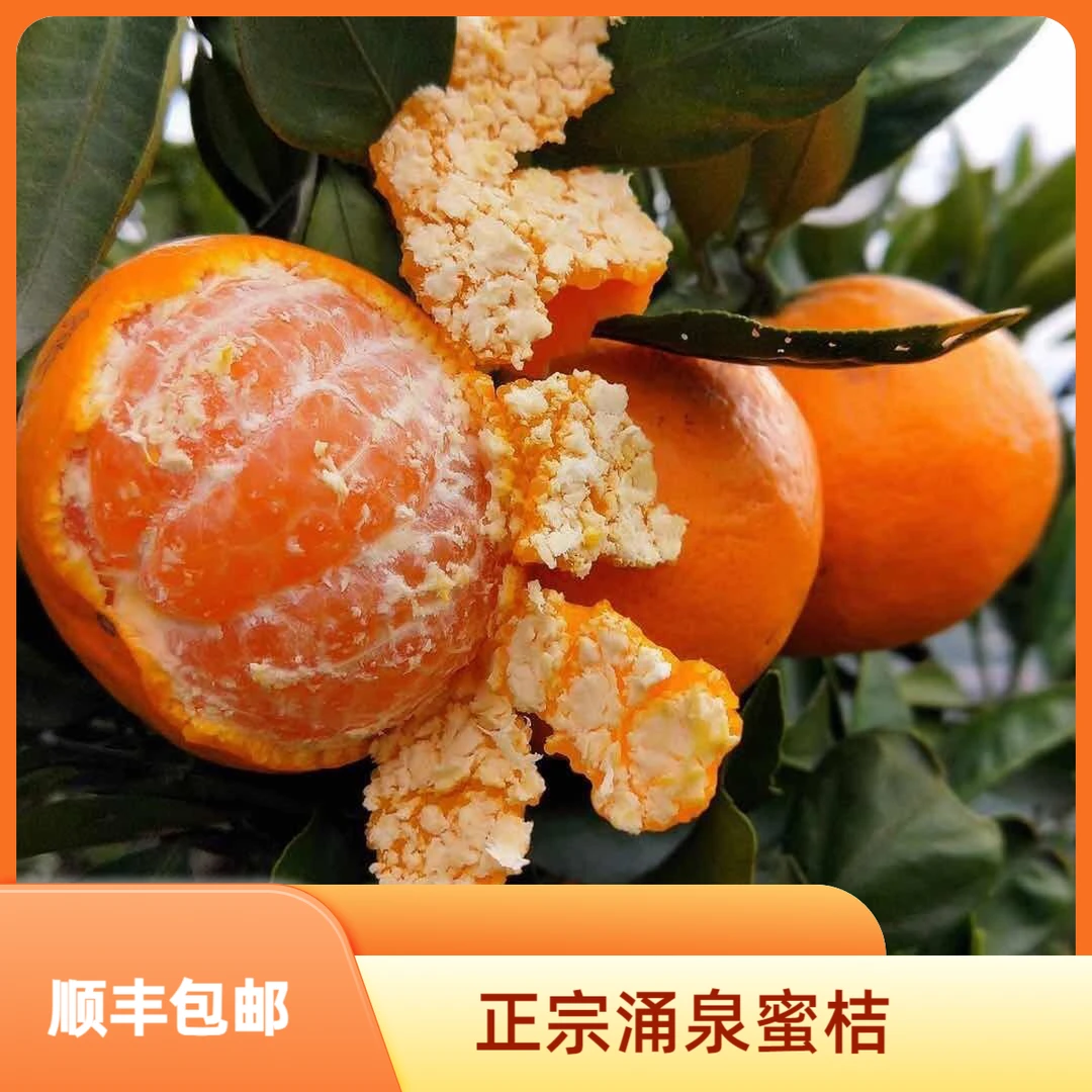 【顺丰包邮】新鲜优选正宗临海涌泉蜜桔花皮果