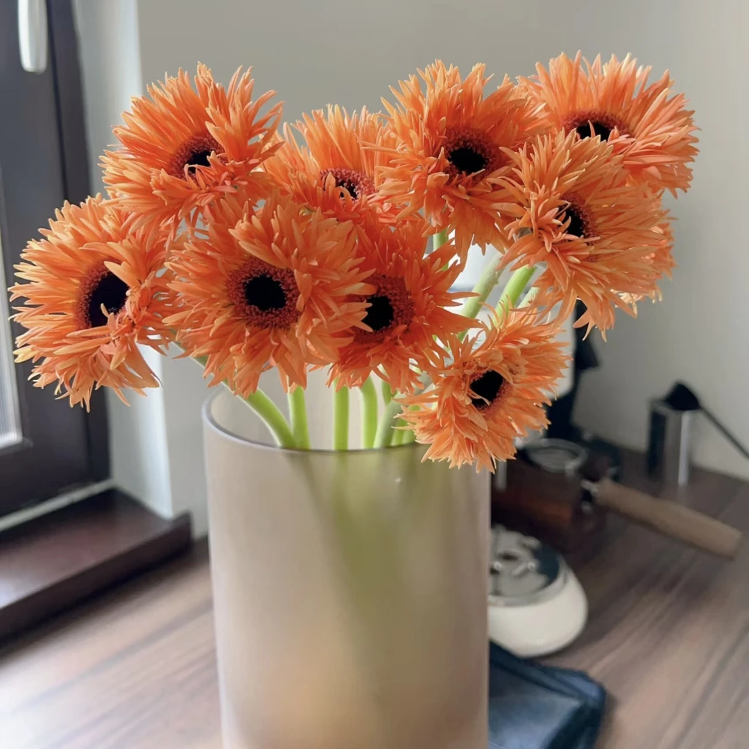 【杨鹏鲜花】橙色拉丝弗朗 非洲菊 羽毛感奶油系云南鲜花包邮