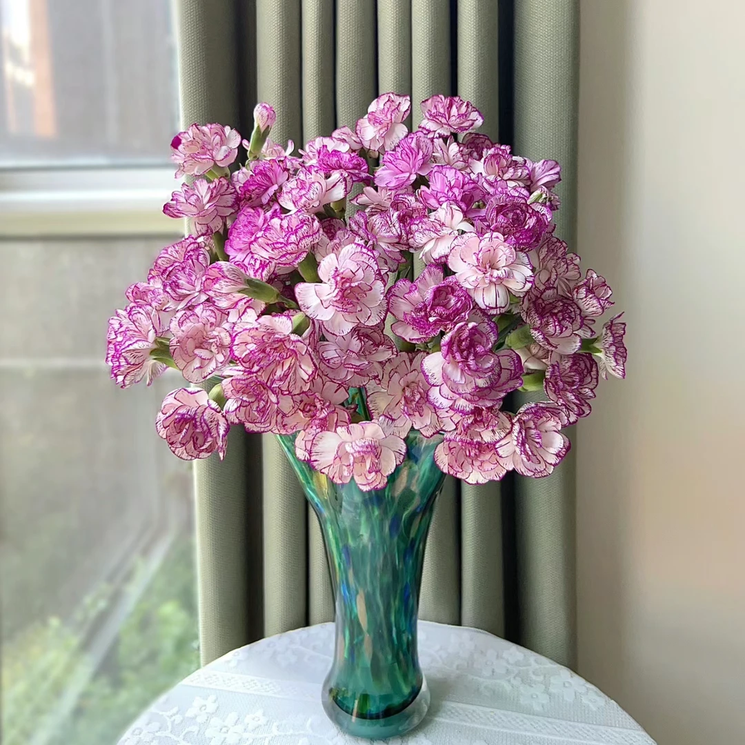 【杨鹏鲜花】多瑙河 多丁 多头康乃馨 云南鲜花包邮