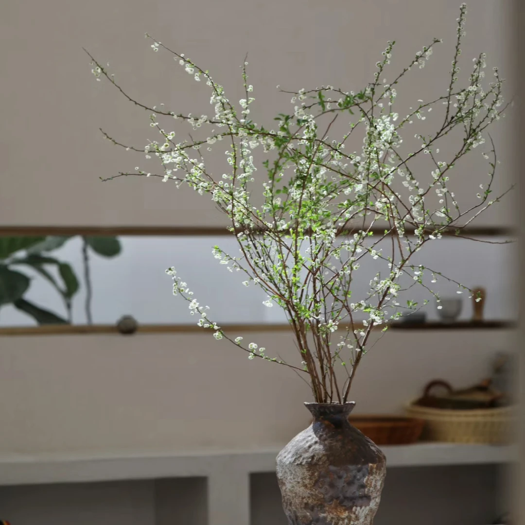 【杨鹏鲜花】雪柳花 一夜惊喜 高级绿植云南鲜花包邮