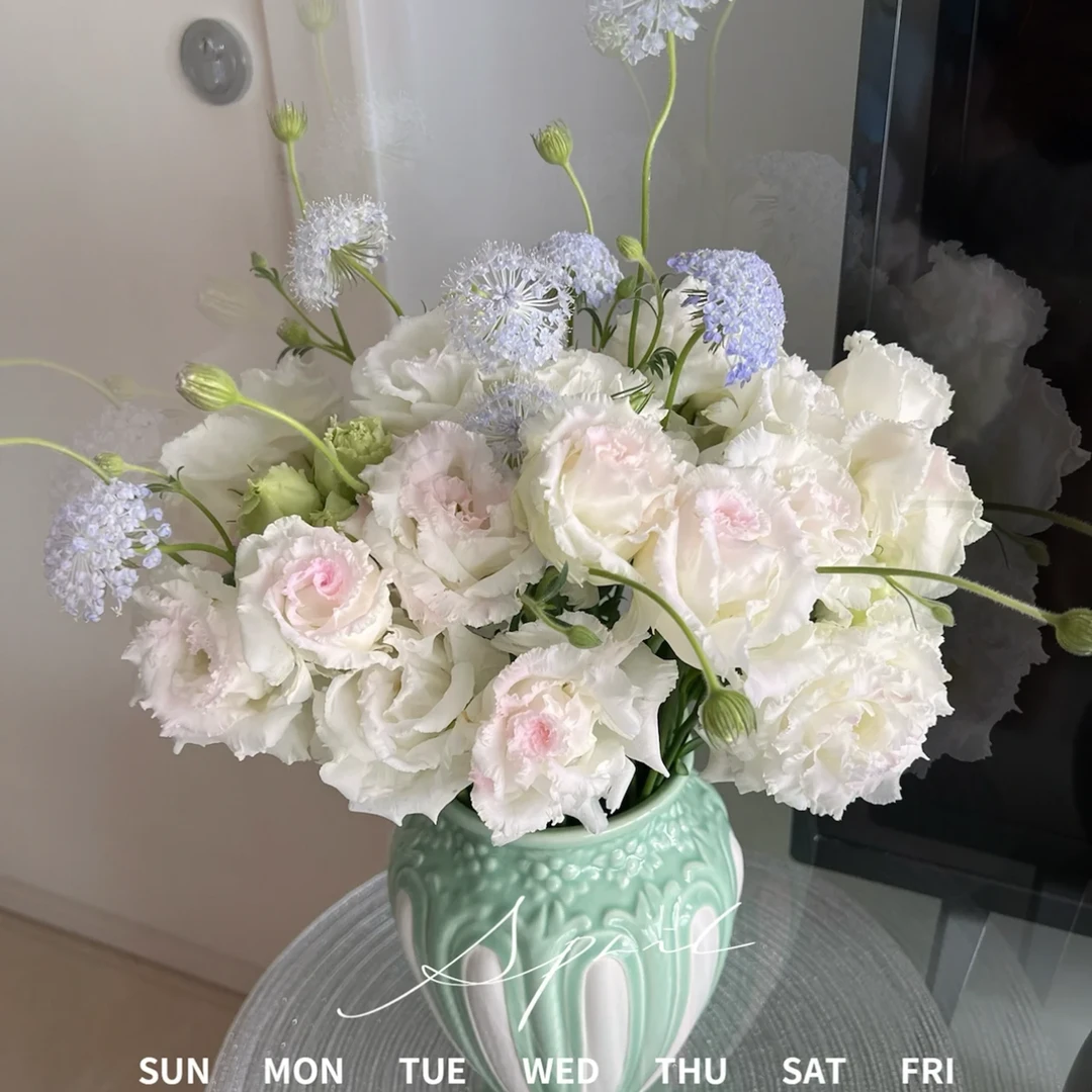 【杨鹏鲜花】冰淇淋 洋桔梗 云南鲜花包邮