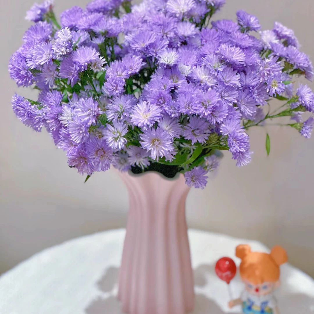 【杨鹏鲜花】孔雀草 云南鲜花包邮