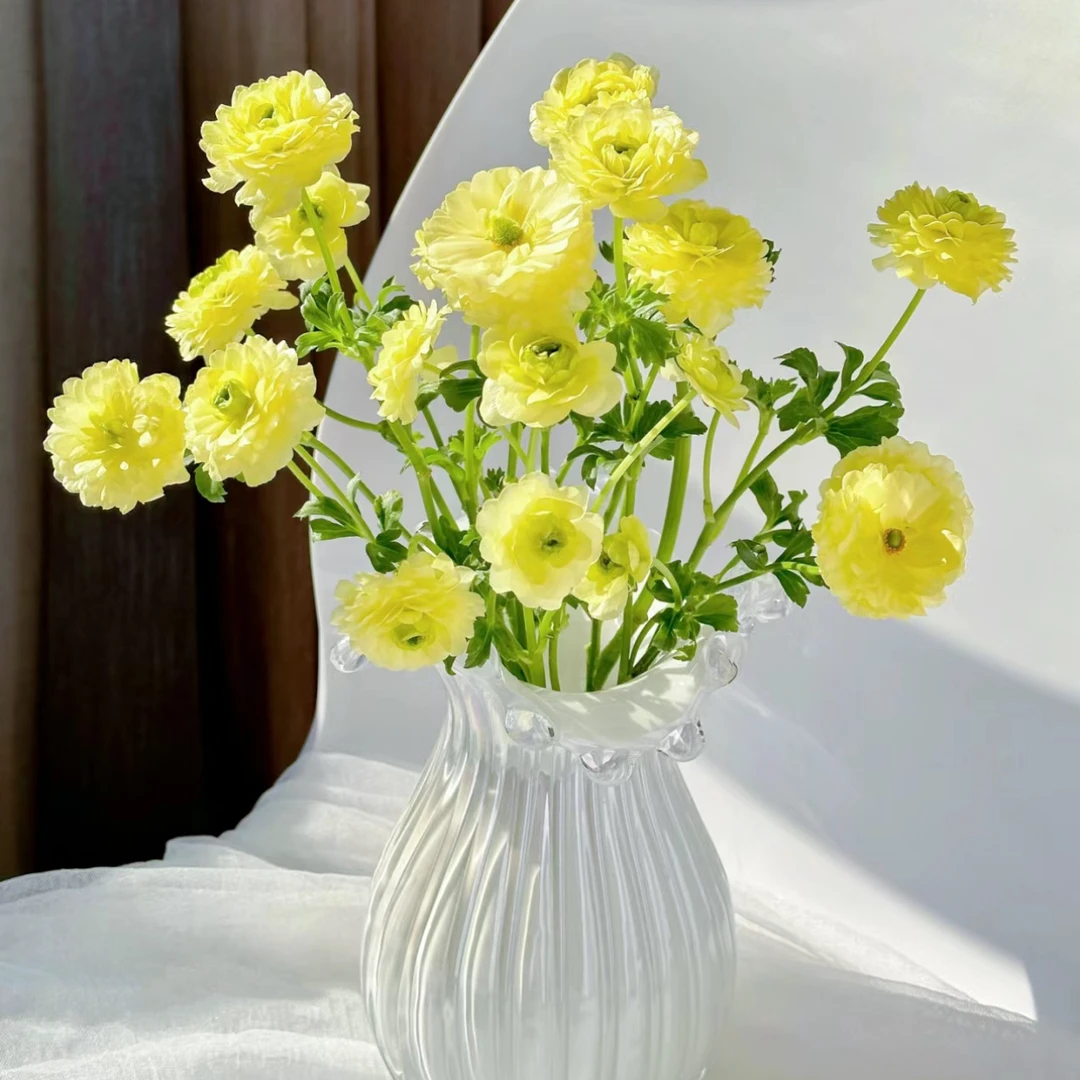 【杨鹏鲜花】柠檬黄蝴蝶 洋牡丹 云南鲜花包邮（带包装醒花）