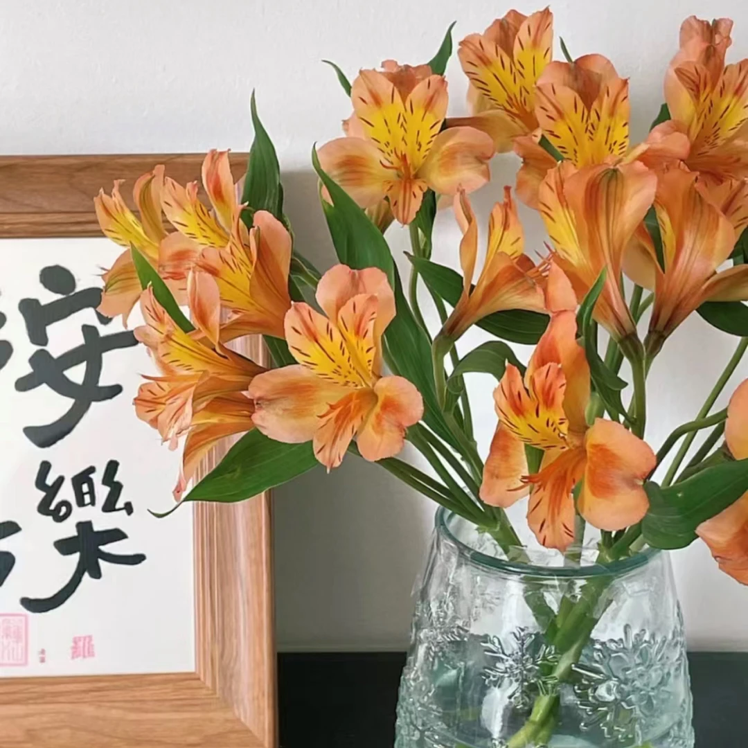 【杨鹏鲜花】秋色六初花 水仙百合 云南鲜花包邮