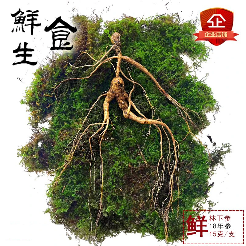 长白山鲜人参特产新鲜人参带土林下参15克左右泡酒包邮