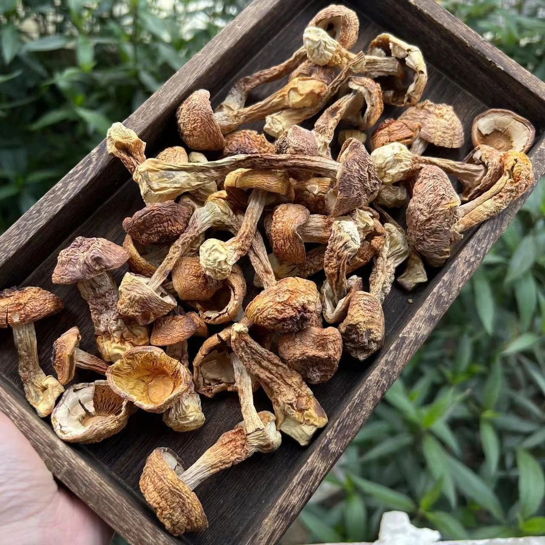 【金姐海味】精选姬松茸