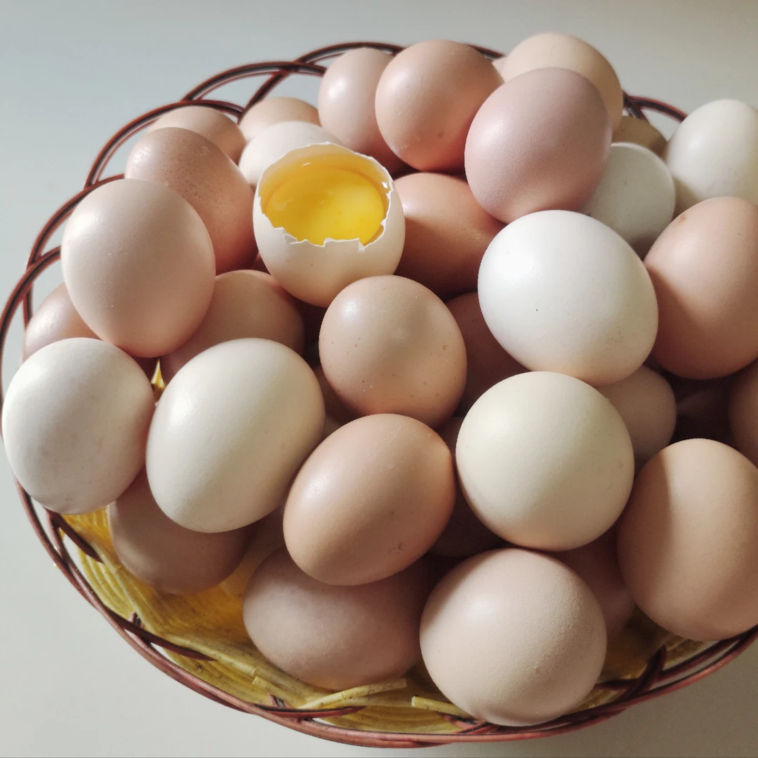 大山放养正宗清远鸡初生蛋天然好吃新鲜广东省内包邮20枚30枚60枚