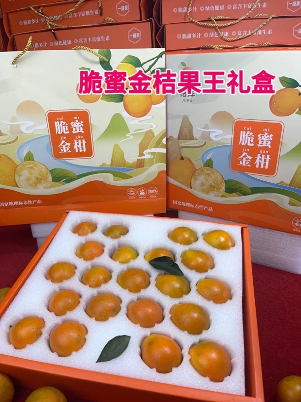 【果王礼盒】融安脆蜜金桔纯甜冰糖心皮薄精品礼盒