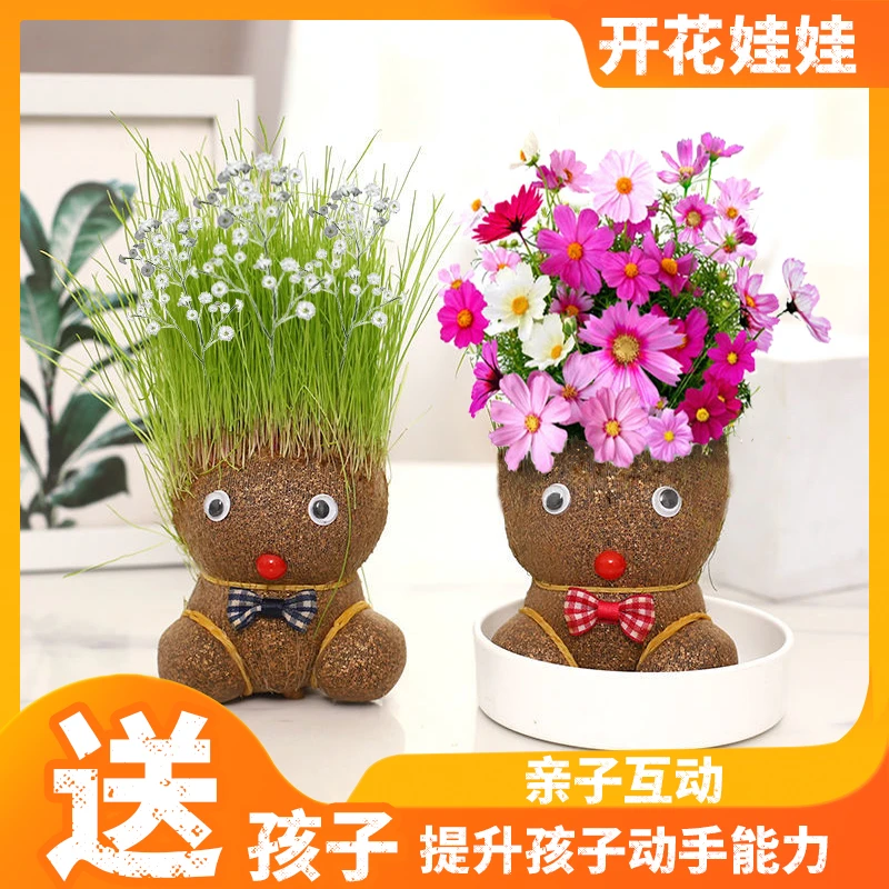 【开花娃娃】DIY可爱迷你创意有趣味草头娃娃室内盆栽摆件迷你花卉