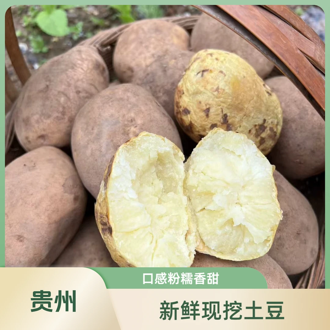 贵州威宁黄皮黄心洋芋