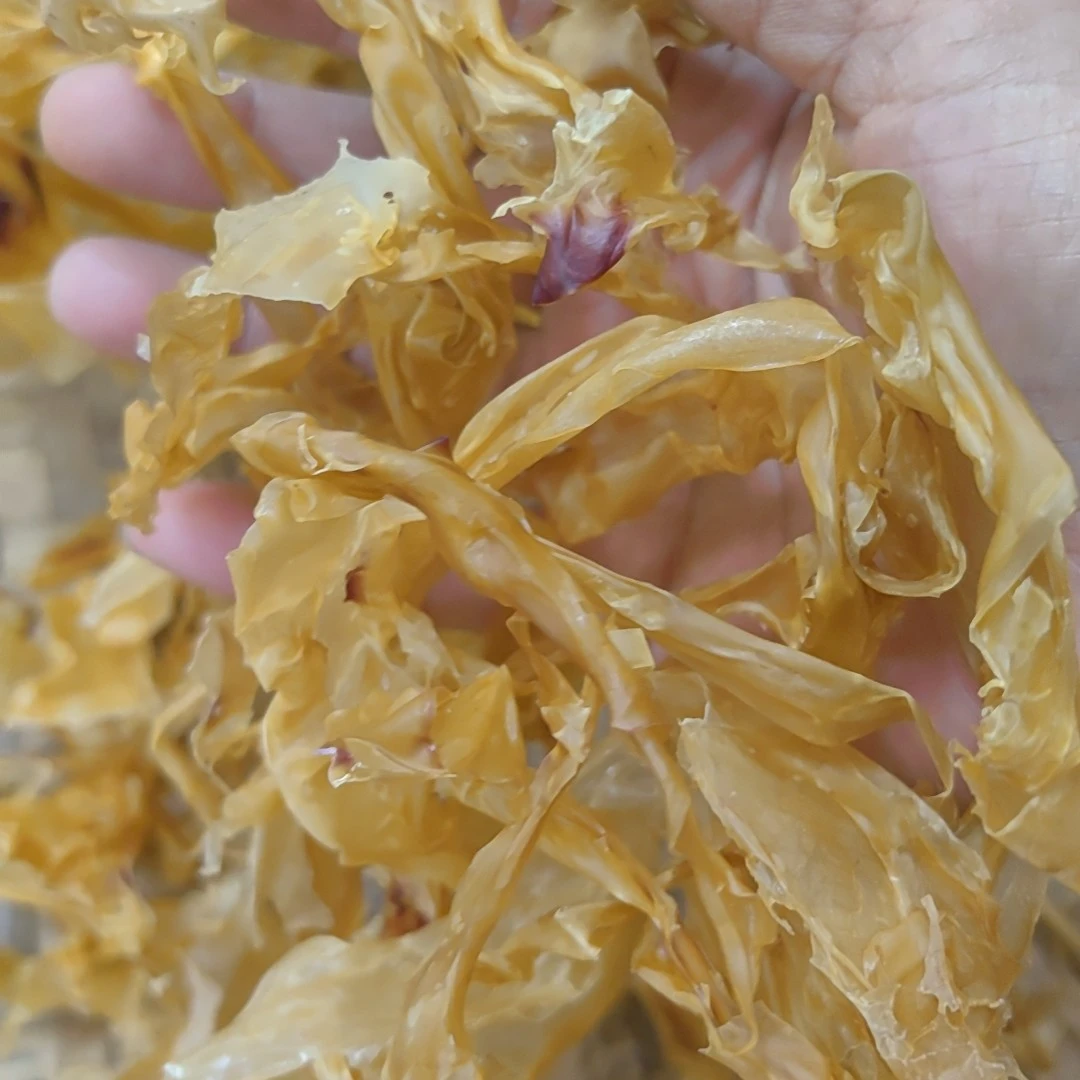 （佛祖菜）野生海藻佛祖菜