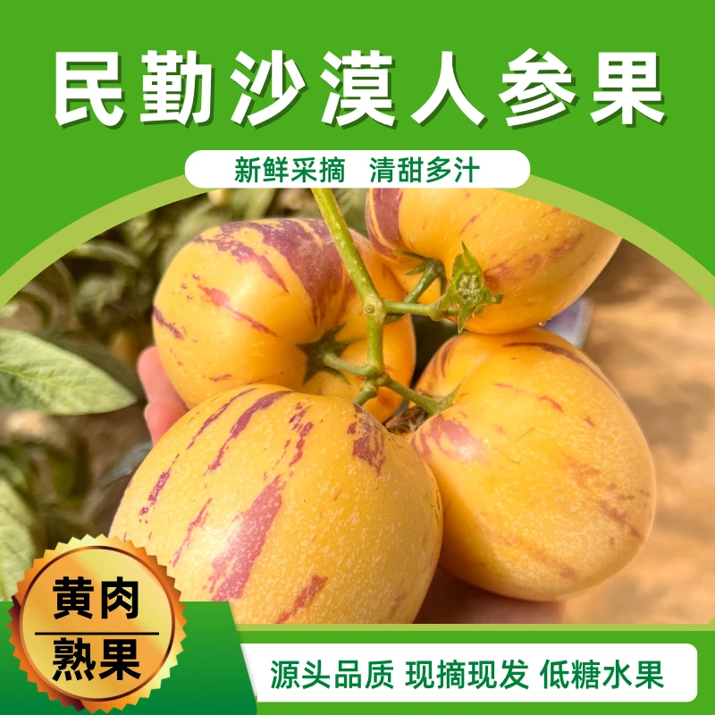 甘肃民勤沙漠人参果净重4.5斤100g起 现摘现发低糖黄肉坏果包赔