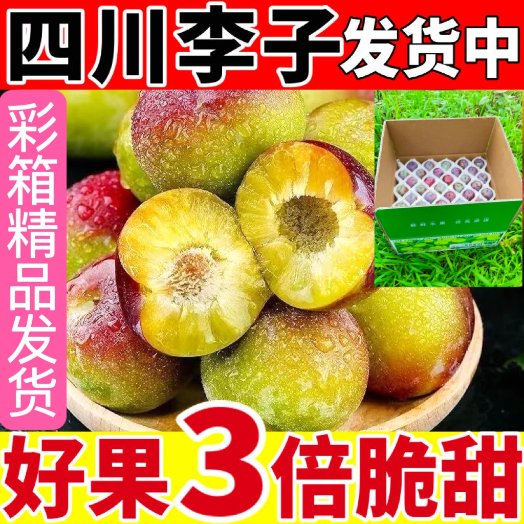 四川正宗脱骨李半边红茵红李青脆李应季水果