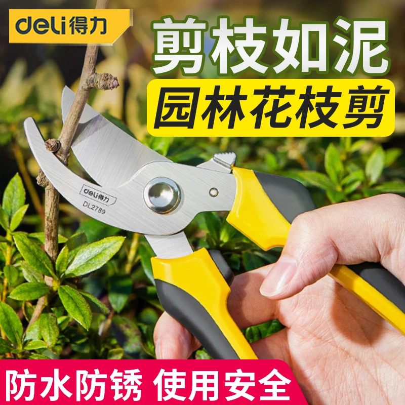 得力工具剪枝修枝剪刀果树园艺剪修剪树枝剪刀花艺剪省力大粗枝剪