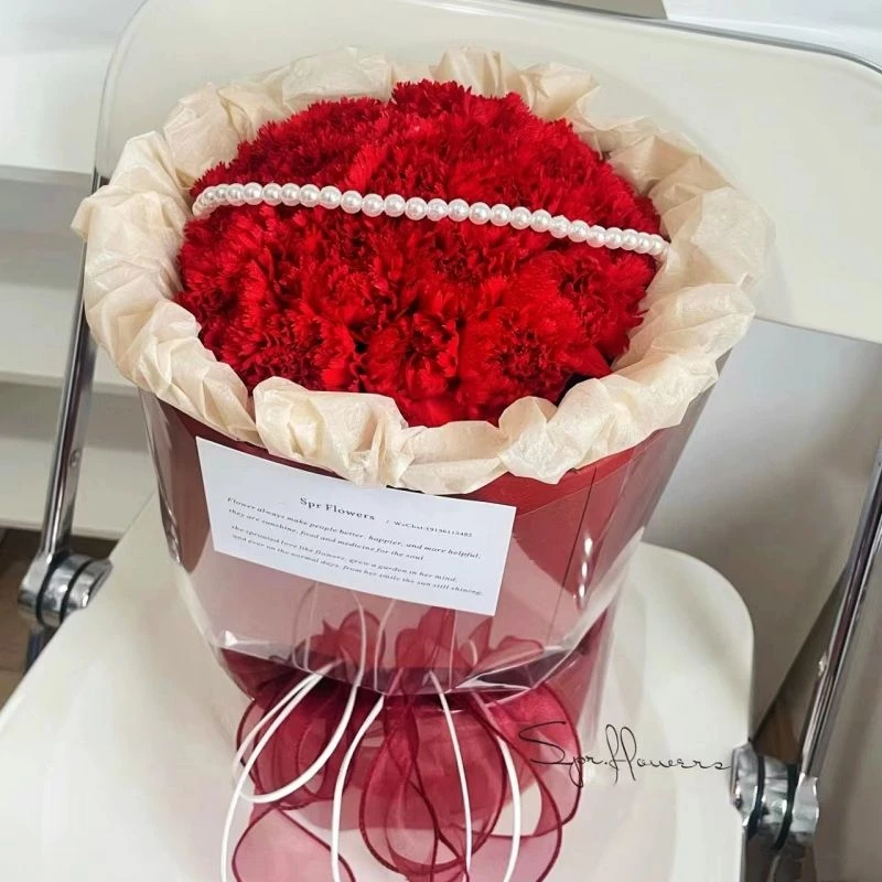 『爱你的小棉袄』19朵红色康乃馨鲜花花束生日礼物送妈妈送长辈送领导花店鲜花配送