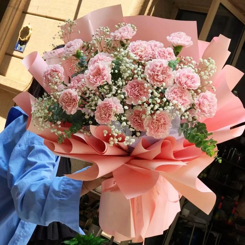 『时光花语』19朵粉色康乃馨鲜花花束生日礼物送妈妈送长辈送领导花店鲜花配送