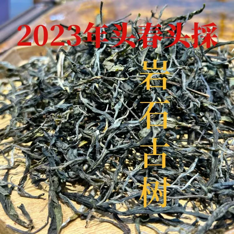 2023年邦旭岩石古树头春头采