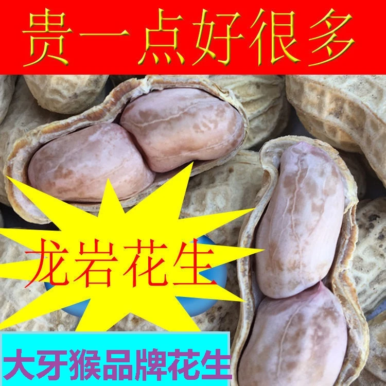 龙岩花生水煮花生日晒咸干香酥五香蒜香白晒花生1斤追剧零食坚果
