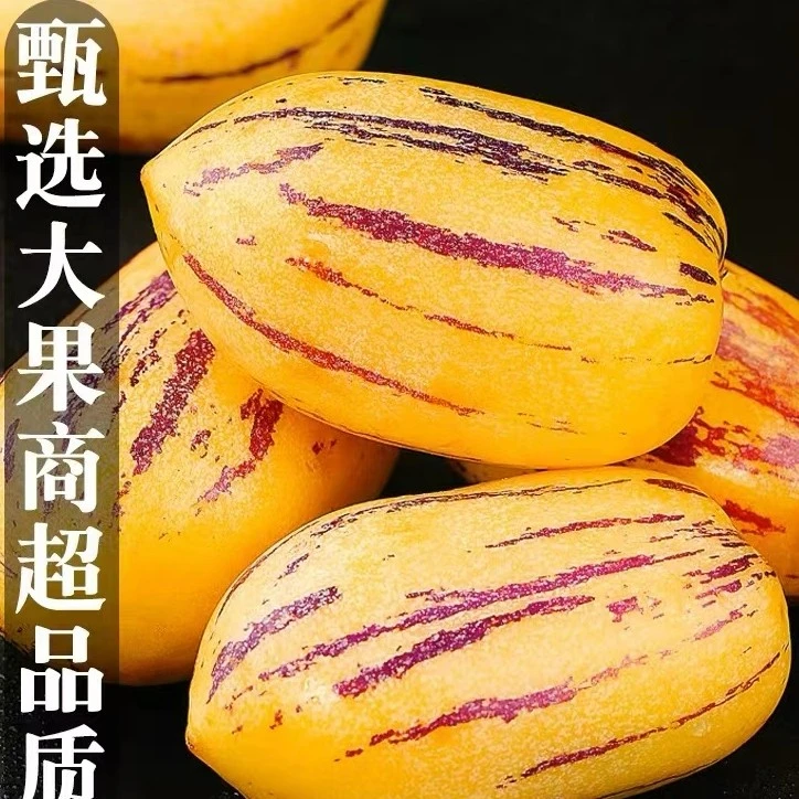 顺丰甘肃民勤黄肉人参果新鲜采摘产地直发带箱5斤坏果包赔