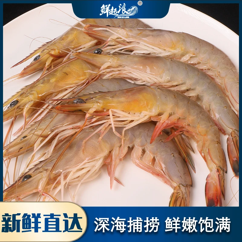 威海野生海捕大虾青头虾新鲜渤海湾对虾