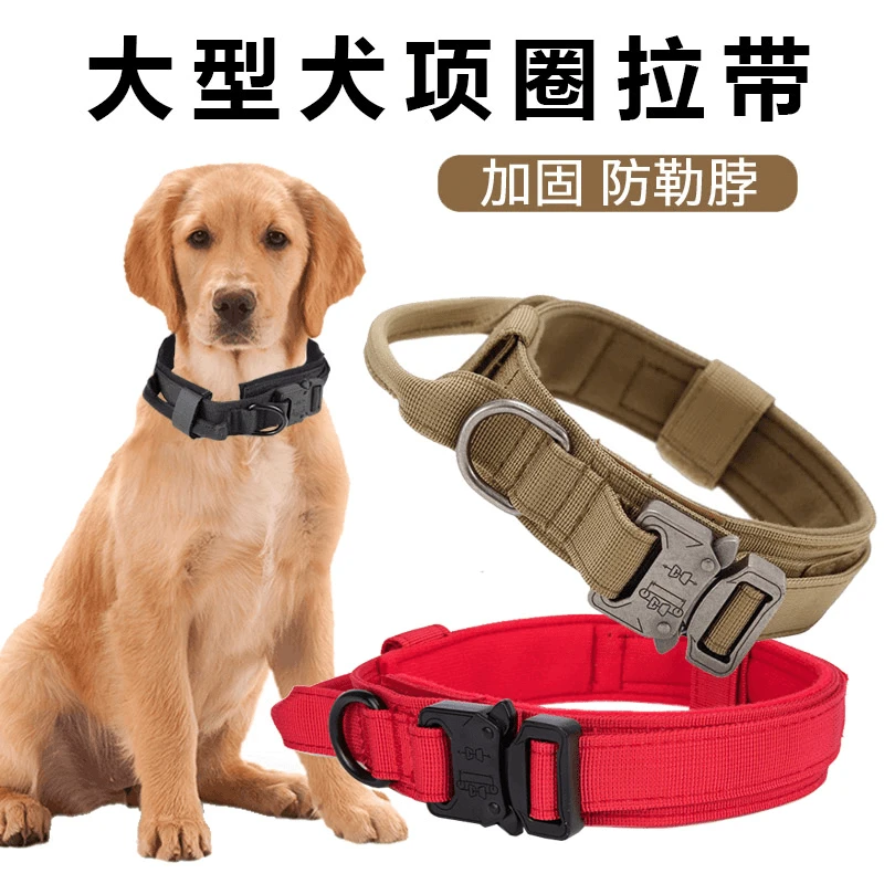 狗狗大型犬狗颈圈金毛德牧马犬拉布拉多脖圈狗链牵引绳