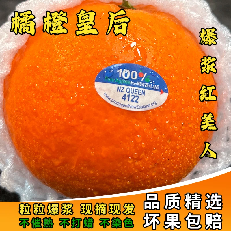 【当季水果T】四川天府38号果冻橙5.2/8.2斤新鲜水果好吃橙子