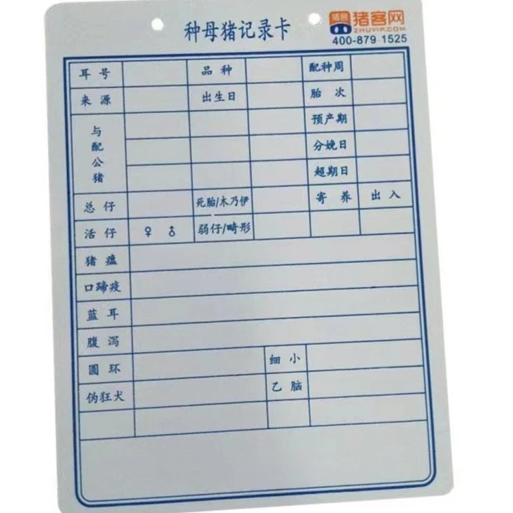 加厚母猪卡种母猪双面记录卡母猪分娩生产档案卡猪配种防水管理