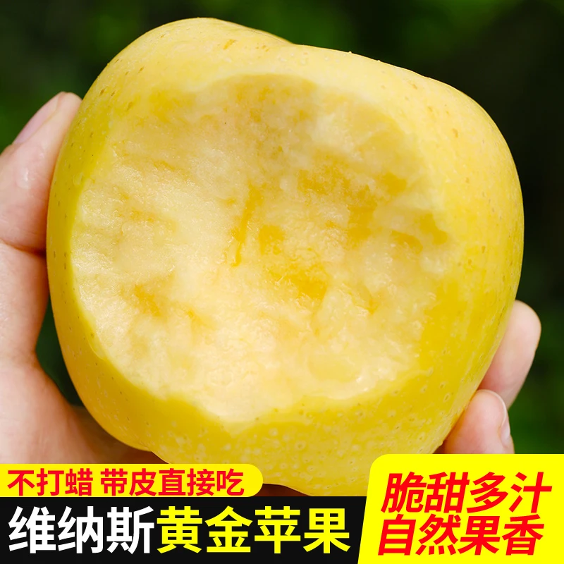 （京东顺丰包邮）黄金维纳斯女神奶油苹果新鲜水果整箱糖心脆甜纯甜