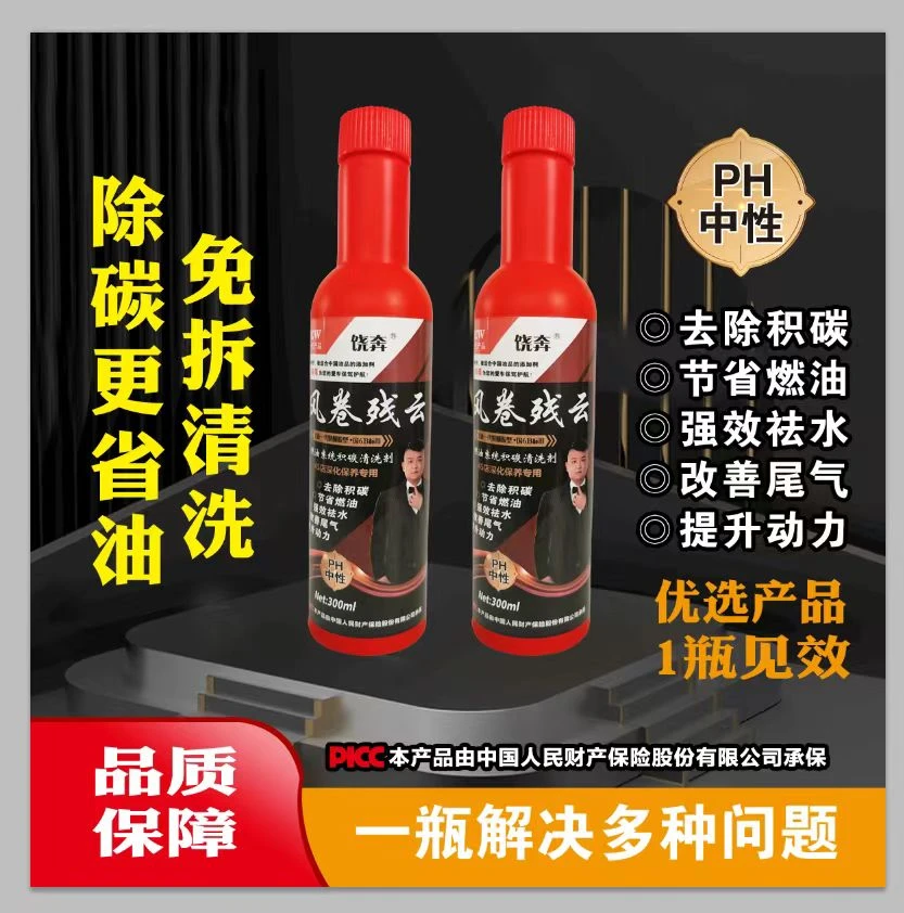 燃油系统积碳清洗剂两瓶装