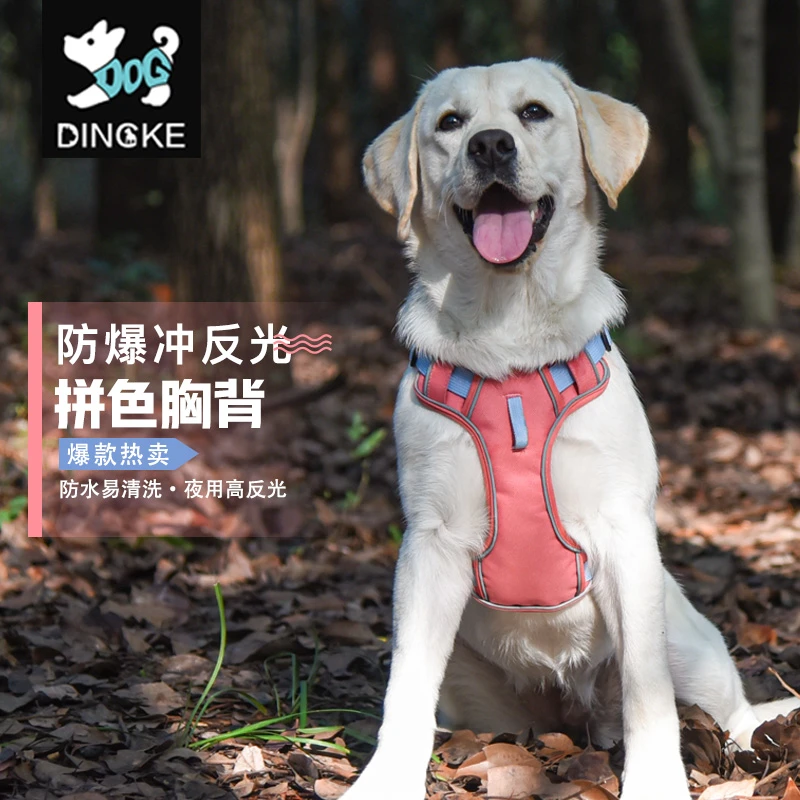 超萌好物绳胸背带小中大型犬背心式网红遛狗绳子金毛拉布拉柯基