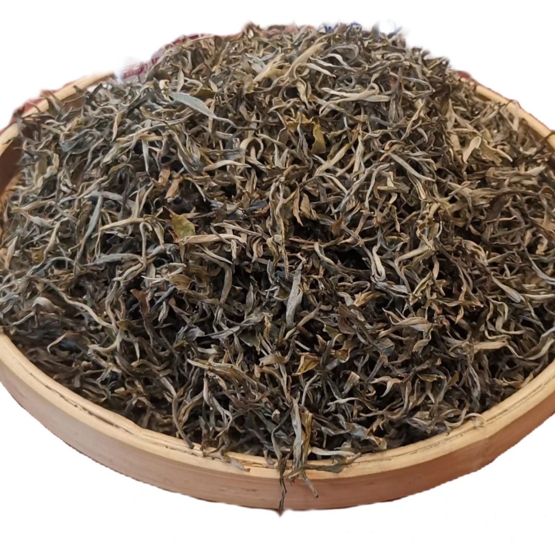 正气塘云南普洱茶生茶散茶古树茶2023年明前春茶散料商务珍藏盒装